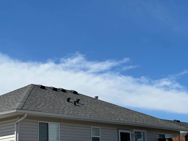 Best Commercial Roofing Services  in Niagara, WI